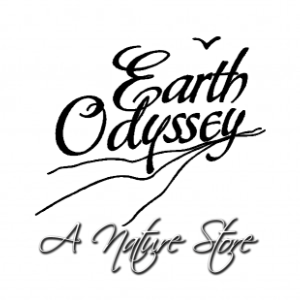 Earth Odyssey